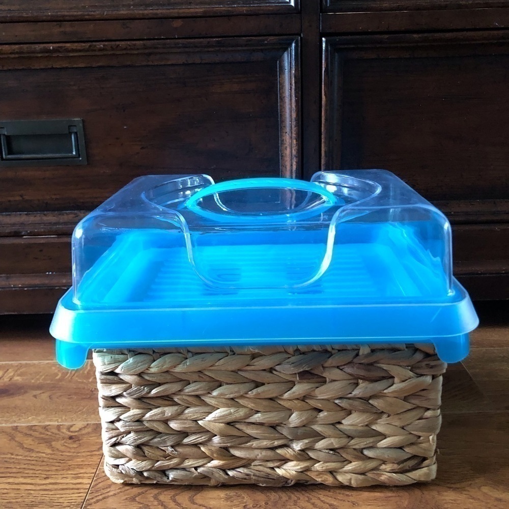 Blue Covered food dish with ice pack